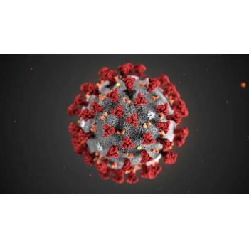 La OMS  frente al nuevo coronavirus